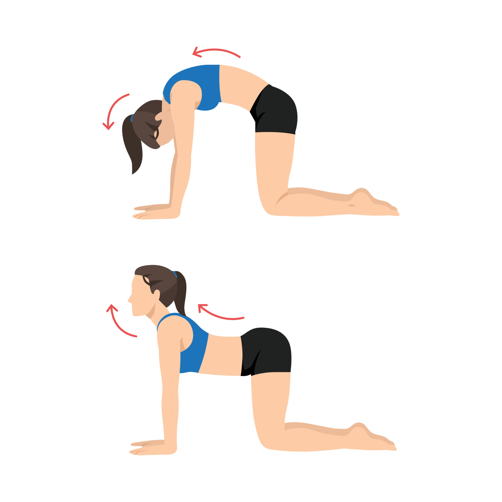 Marjariasana Bitilasana Cat Cow Stretch Enhance Flexibility