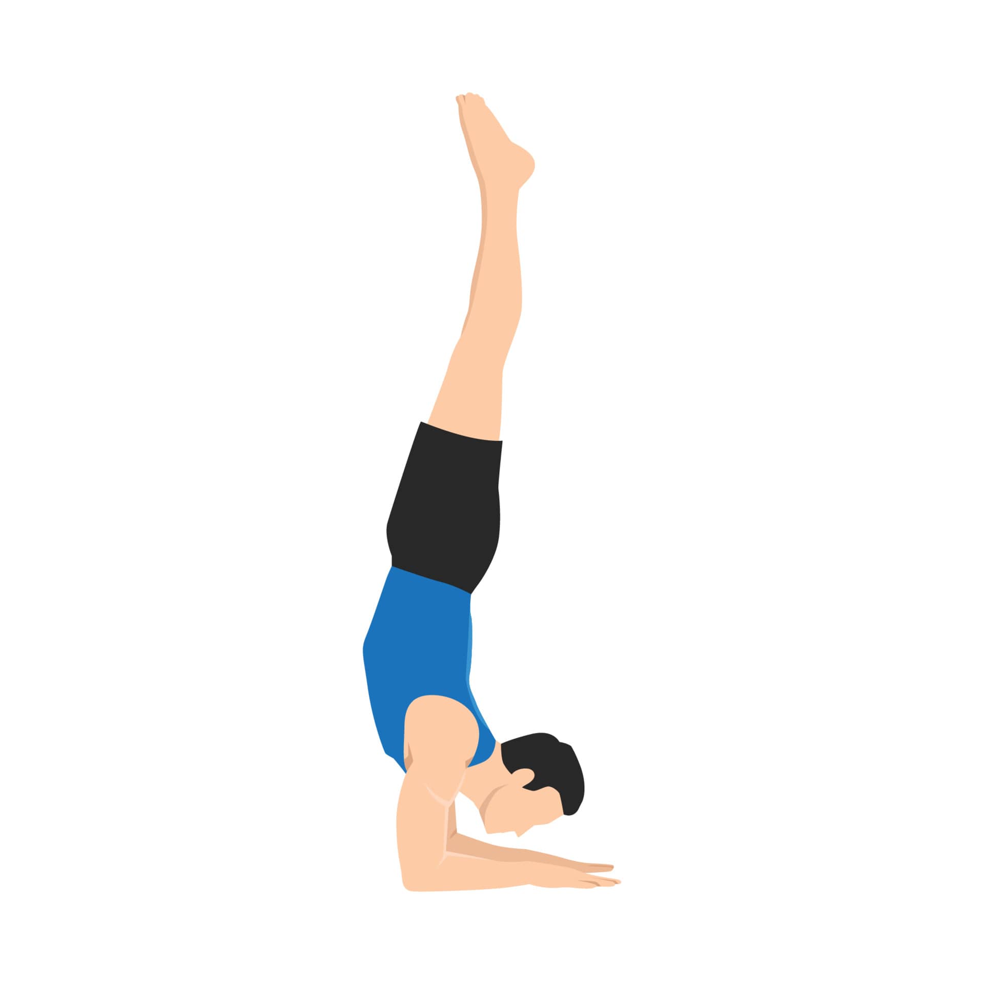 Pincha Mayurasana (Forearm Stand) - PATH OF YOGI